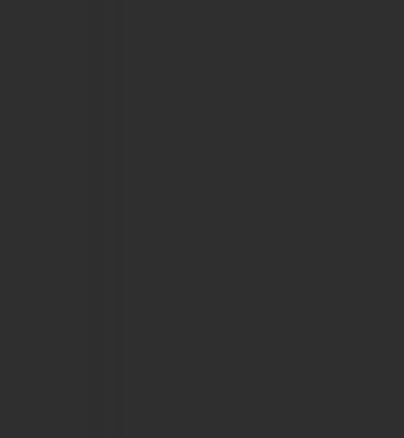 REVOLVER TEMPLATE